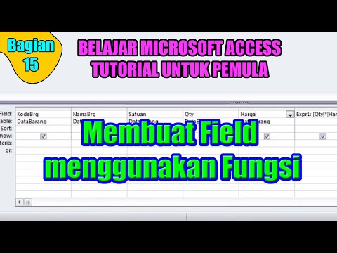 Video: Data yang dimasukkan ke dalam field disebut?