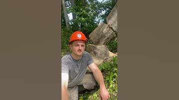 A widow maker. #shorts