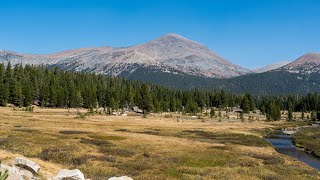 Mount Dana - Yosemite NP - California 2025