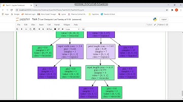 Decision Tree Classifier(The Spark Foundation)