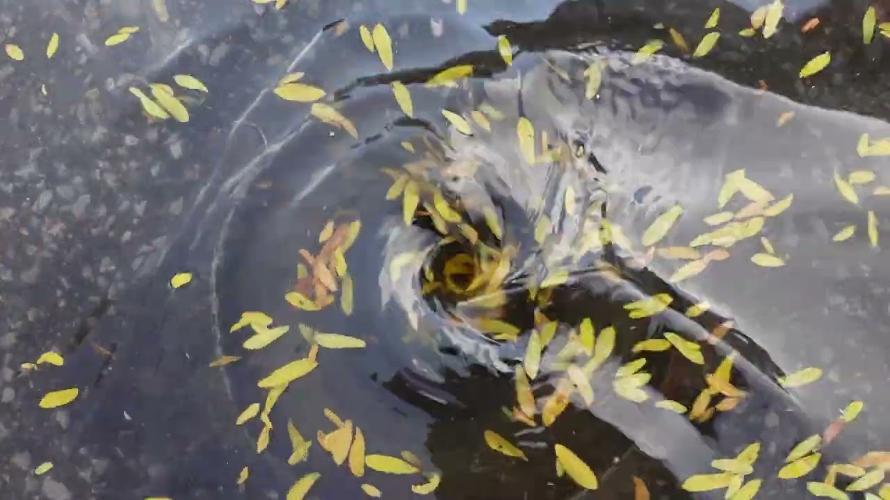 Whirlpool with leaves.