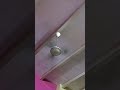 #shortvideo