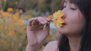 video test canon lens 50 mm f 1.8 with canon 70D & Dji osmo footage (all clip shot in 60 fps 1080p)