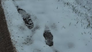 Search Continues For Missing Ontonagon County Teen Cam Besonen