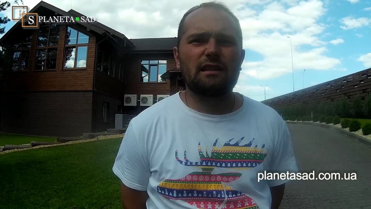 Первый укос посевного газона. Какие проблемы и недостатки