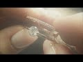Latest Jewellery Collections