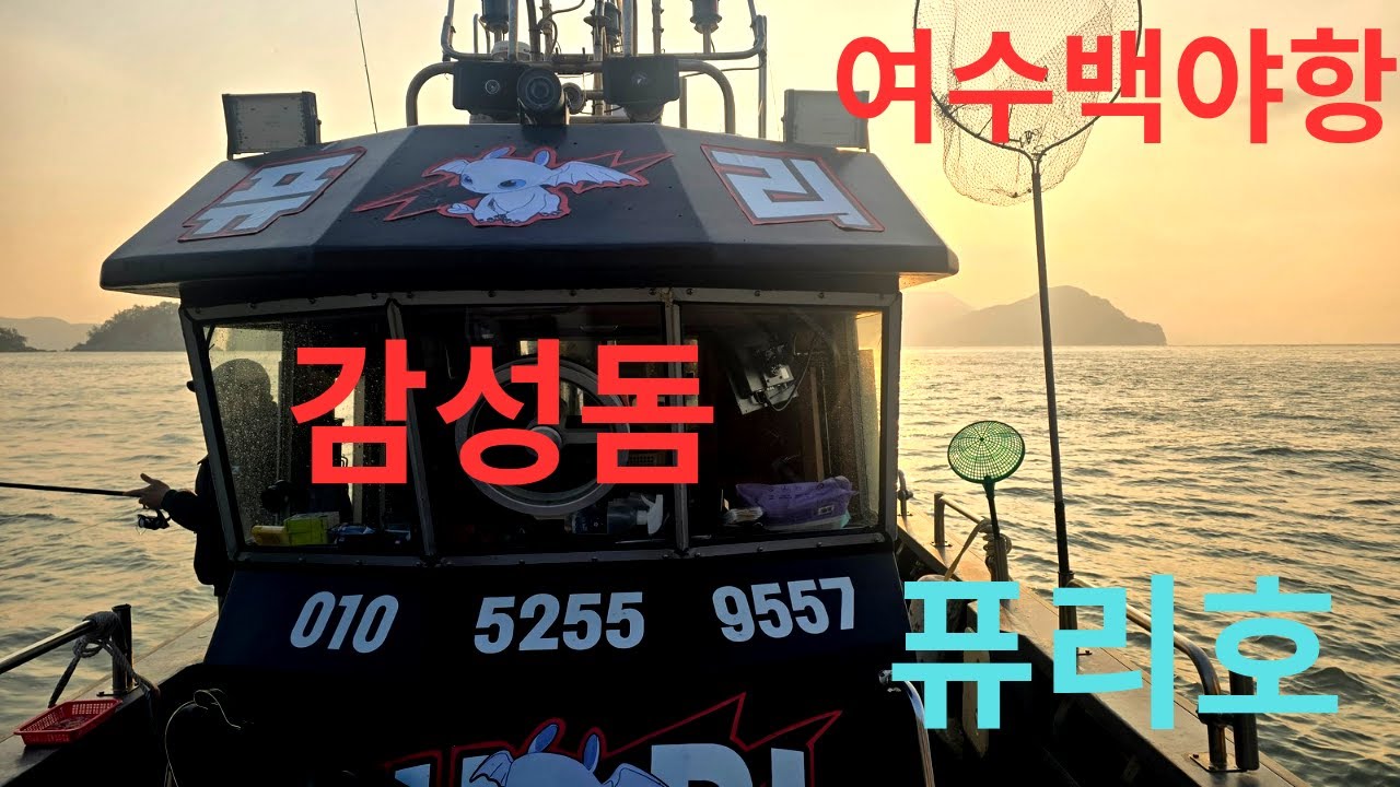 26년1월18일  14항차 감성돔~까 버 려~ 