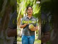 തൊഴിലാളി ചെലവ് കുറയ്ക്കുന്ന Coco Dehusker