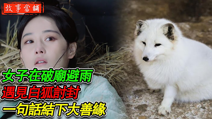 女子在破庙避雨，遇见白狐讨封，一句话结下大善缘 | 民间故事 | 故事当舖 - 天天要闻
