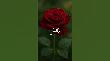 #قران_كريم  #مقاطع_دينية #المنشاوي #راحة_نفسية #تلاوة_خاشعة