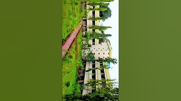 #Abdul Hakeem college #Autonomous#Best part of life ✨#clg life❤️