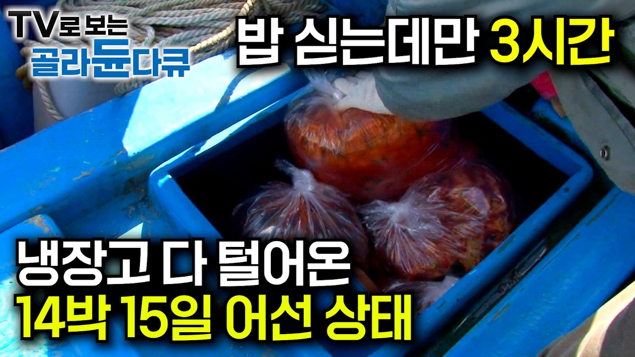 대풍어에 어창까지 가득 찼다! 갑판까지 생선탑 쌓았더니｜어선에서 생일맞이한 선장에 깜짝 생일파티에 특급 선상 메뉴 준비한 선원들｜14박15일 목포 조기잡이｜극한직업｜#골라듄다큐