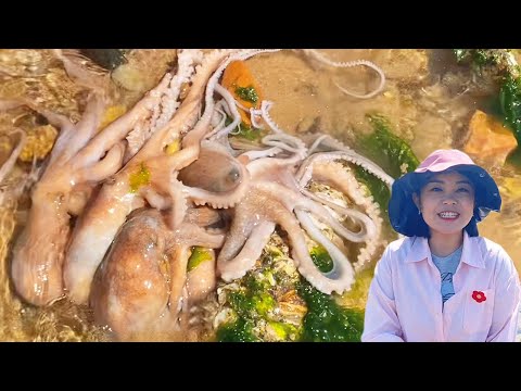 [ENG SUB] ¡Xiao Zhang se apresuró al mar y capturó un gran nido de pulpo! ¡También está el mero Duo