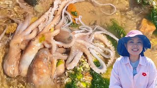 [ENG SUB] Xiao Zhang rushed to the sea and captured a large nest of octopus! And grouper turb fish