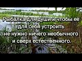 Рыбалка на большом пруду Рупасово — проточный водоём на русле реки Работня, в 7 км от Москвы.