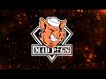 Szanta Mad Pigs