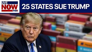 25 states sue Trump Administration over tariffs