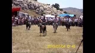 ANBARCIK TÜRKLÜ GENEL 2013 Resimi