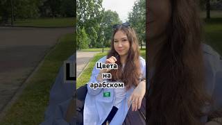 🇸🇦#рек #учимарабский #арабскийдляначинающих #арабскийонлайн #арабскийязык #арабский #репетитор