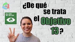 ¿De qué se trata el Objetivo 13- Acción por el clima / Objetivos de Desarrollo Sostenible
