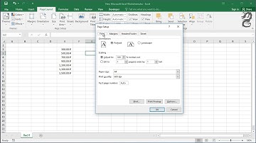 Start page number at 2 (or different number) in Excel Changing the Starting Page Number  Excel