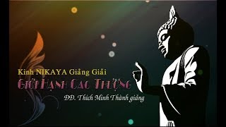 Kinh NIKAYA Giảng Giải - GIỚI HẠNH CAO THƯỢNG - ĐĐ. Thích Minh Thành