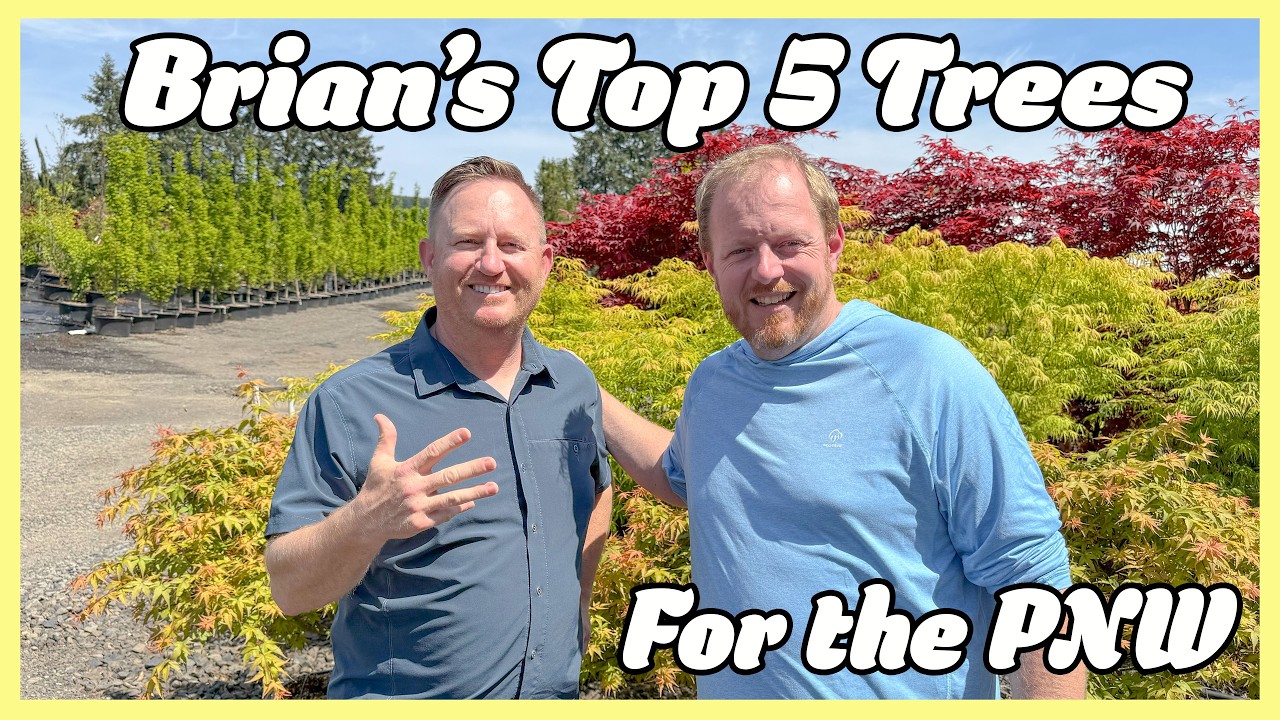 5 Must-Have Trees for Your Garden: Brian’s Top Picks - YouTube