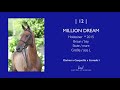 12 I Million Dream (Clarimo x Casquetto x Corrado I) Holger Hetzel Sport Horse Sales 2021