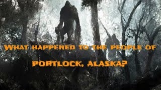 What Happened to the People of Portlock, Alaska?