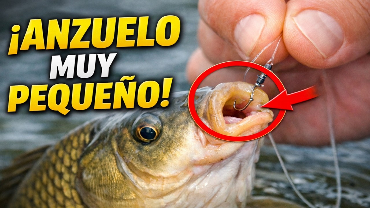 El Error con el Anzuelo que te Cuesta la Mitad de tus Capturas