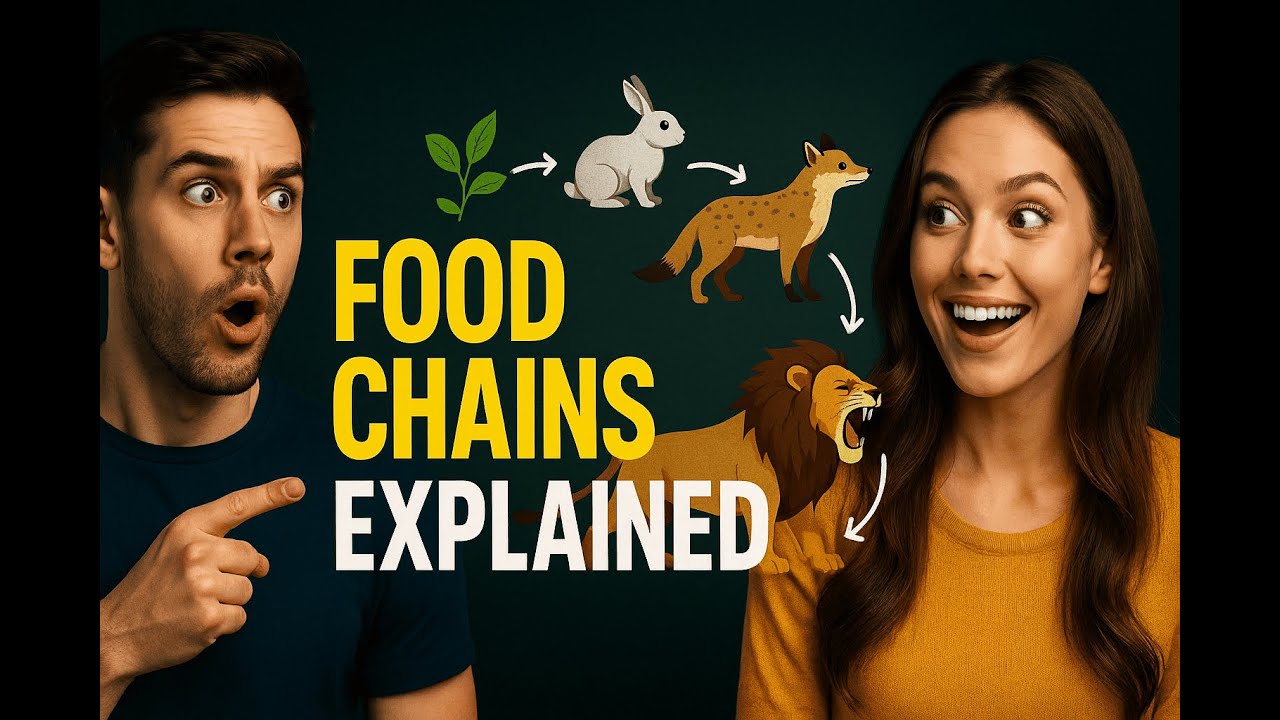 Session 3: Food Chains – Primary, Secondary & Tertiary Consumers | Energy Flow in Ecosystems