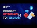 Set Up OpenClaw with Telegram & Ollama