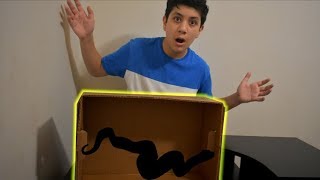 WHAT'S IN THE BOX?