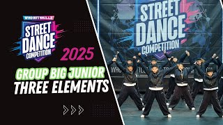 Three Elements Group Big Junior Whogotskillz Street Dance Competition 2025