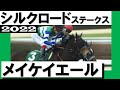 メイケイエール復活の重賞4勝目【シルクロードステークス2022】