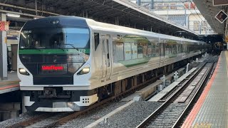 E257系5000番台OM–93編成　特急おうめ91号（青梅マラソン号）河辺行き新宿駅入線