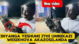 INyanga yeshumi isibambe isikhova kwayo 