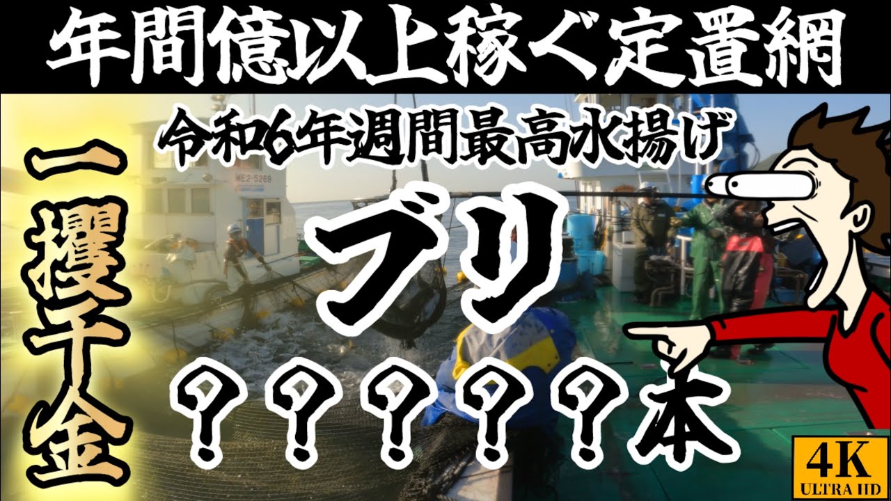 【漁師動画】年間億以上稼ぐ定置網の週間最高水揚げがエグすぎた#大漁