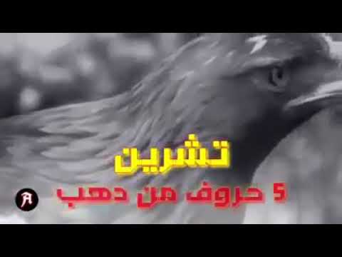 خمس حروف من دهب