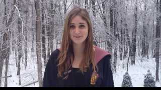 Wizards Lorde Royals Parody