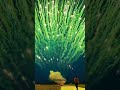 اروع الالعاب الناريه على الاطلاق Fireworks 
