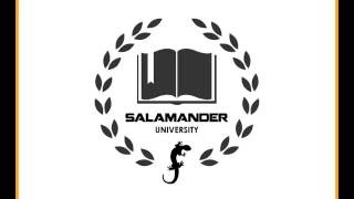 Importing Personnel Records into SalamanderLive