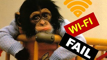 Fail of the day june 2016 | Monkey & Wi-Fi || FailTrends