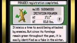 Pokémon Emerald Complete Hoenn Pokédex and Gold Trainer Card