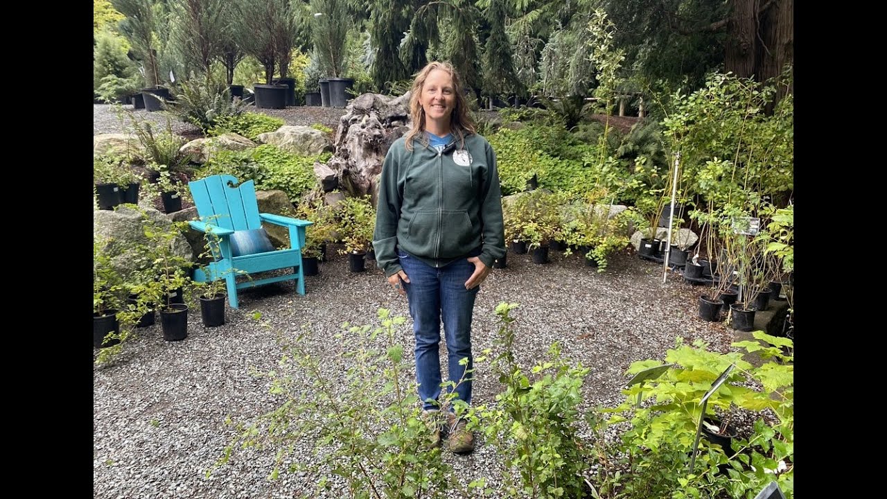 How to Make Your Garden More Climate Resilient - YouTube