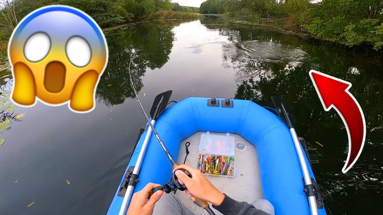 KAS BŪNA, KAI LYDEKOS PASIUNTA!