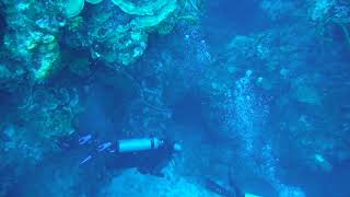 Palancar Cave and Dilaliah Reef Diving October 20 2021 Part 3 Palancar Cave DSCF1841