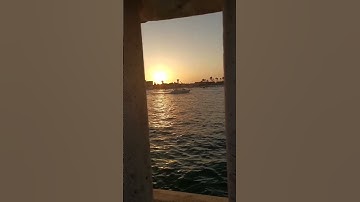 حالات واتس - إن الله وملائكته يصلون على النبي - بصوت القارئ عادل ريان