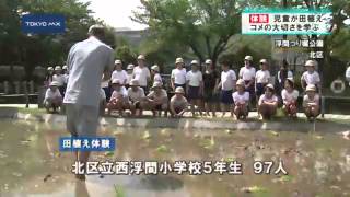 授業再開　青空のもと体験学習