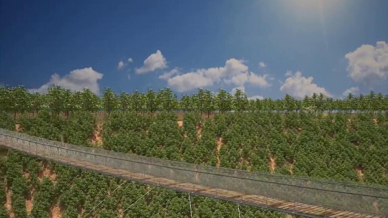 basic Model of wire rope suspension bridge